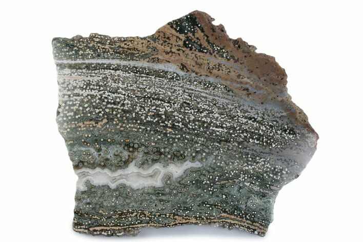 Polished Orbicular Ocean Jasper Slab - Madagascar #379343